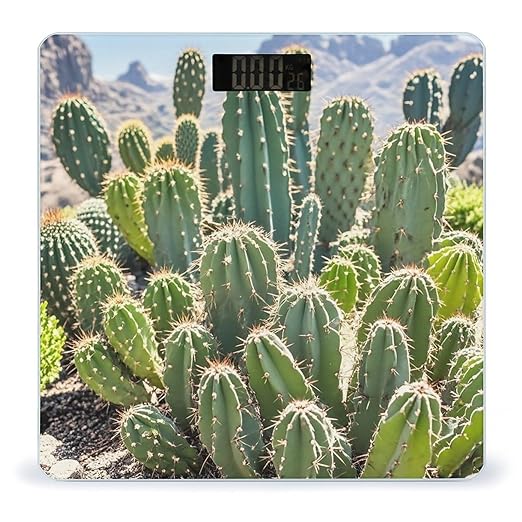 Green Cactus Scale for Body Weight Smart Scales Digital Bathroom Scale High Precision Weighing Scales with Large Display Weighing Machine for People
