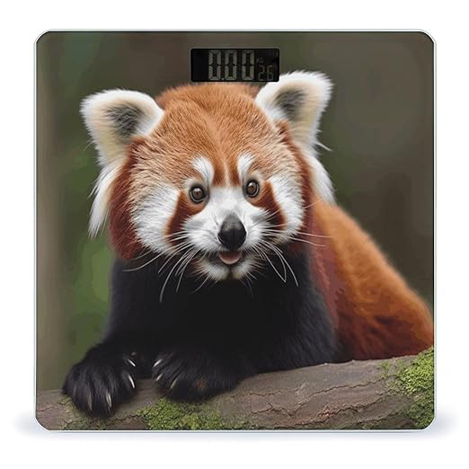 Animal Red Panda Scale for Body Weight Sturdy Tempered Glass Weighing Scales with LCD Display Accurate Digital Bathroom Scale Convenient Body Fat Smart Scales 400lb