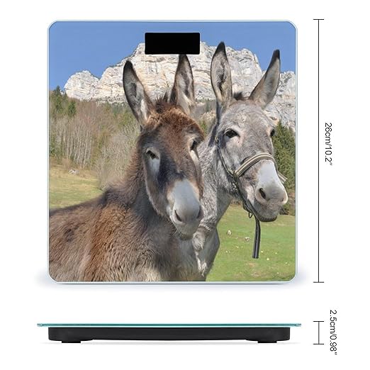 Funny Donkeys Scale for Body Weight Anti-Slip Sturdy Tempered Glass Weighing Machine Highly Digital Accurate Bright LCD Bathroom Scale for Household Gift