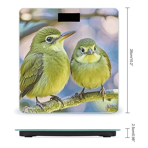 Cute Kiwi Birds Weight Scale Large Digital Bathroom Scales with Bright LED Display Non Slip Digital Scale and Step On Fashion Weighing Machine for Body