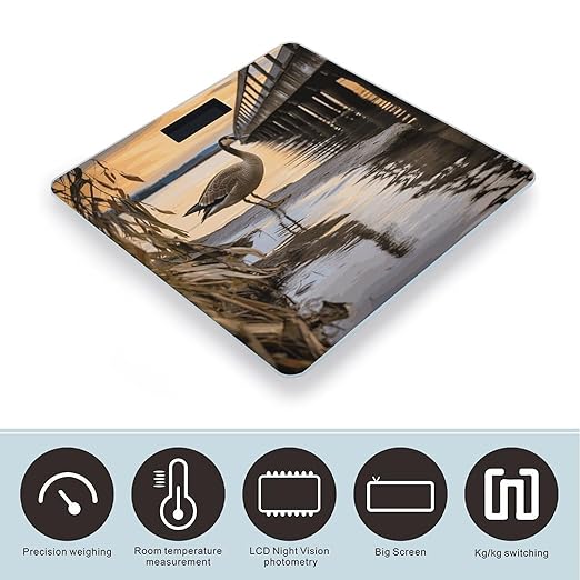 Wild Goose by The Bridge Bathroom Scale for Body Weight Bathroom Weighing Scale with Backlit LCD Display Highly Accurate Measures Weight Up to 180kg