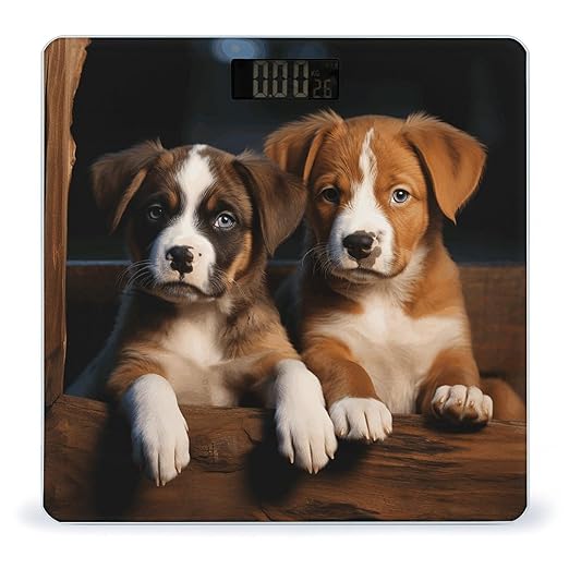 Puppies Dogs Pets AnimalsScale for Body Weight with LCD High Precision Weighing Scales Fashion Sturdy Tempered Glass Weight Scales Easy-to-Read Digital Bathroom Scale for Daily 400lb