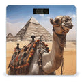 Pyramid CamelScale for Body Weight with LCD High Precision Weighing Scales Fashion Sturdy Tempered Glass Weight Scales Easy-to-Read Digital Bathroom Scale for Daily 400lb