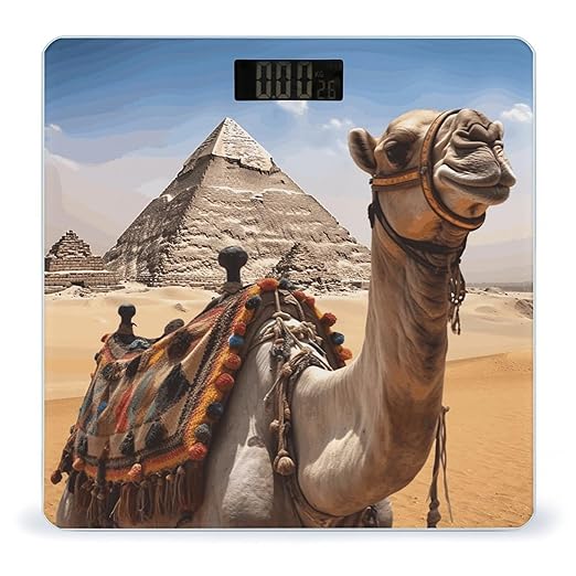 Pyramid CamelScale for Body Weight with LCD High Precision Weighing Scales Fashion Sturdy Tempered Glass Weight Scales Easy-to-Read Digital Bathroom Scale for Daily 400lb