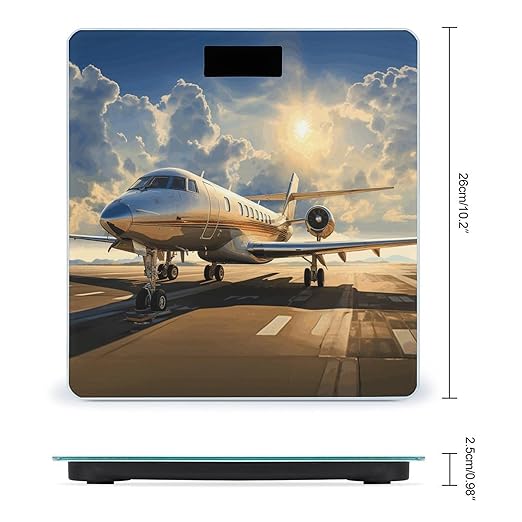 Private Plane Bathroom Scale for Body Weight Bathroom Weighing Scale with Backlit LCD Display Highly Accurate Measures Weight Up to 180kg