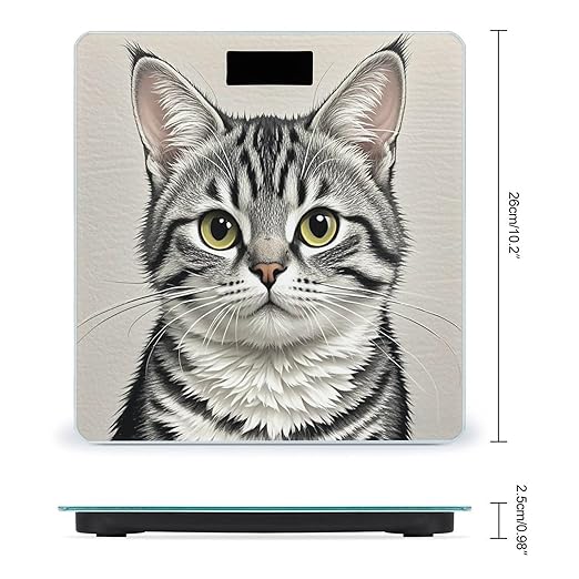 Pencil Style Cat Scale for Body Weight Highly Accurate Digital Bathroom Body Scale Digital Bathroom Scales for People Anti-Slip Large LCD Display Smart Scales