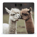 Funny Alpaca Bathroom Scale for Body Weight Bathroom Weighing Scale with Backlit LCD Display Highly Accurate Measures Weight Up to 180kg
