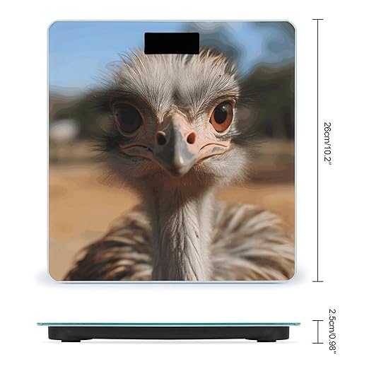 Cute Ostrich Weight Scale Large Bathroom Scales Digital Weight with Bright LED Display Non Slip Automatic Weighing Scale Fashion Weighing Machine for Body