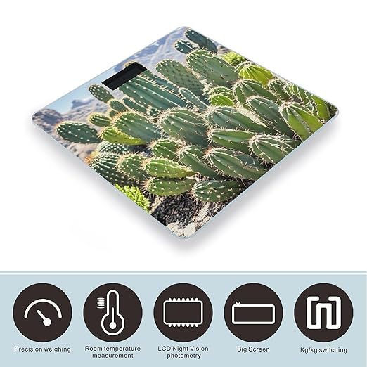 Green Cactus Scale for Body Weight Smart Scales Digital Bathroom Scale High Precision Weighing Scales with Large Display Weighing Machine for People