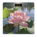 Morning Dew and Lotus Light Smart Scale for Body Weight Digital Bathroom Scale Toughened Glass Weight Scale with Large LCD Backlight Display High Precision Scales Weighing Machine
