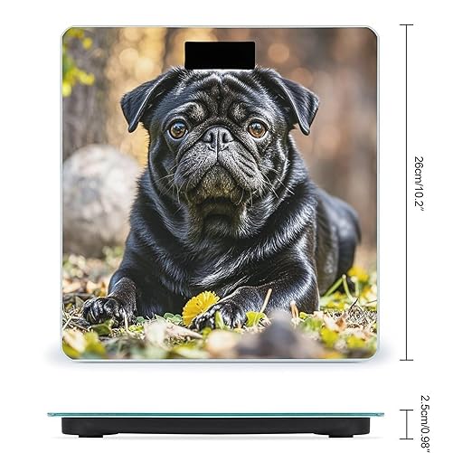 Cute Black Pug Dog Scale for Body Weight Highly Accurate Digital Bathroom Body Scale Digital Bathroom Scales for People Anti-Slip Large LCD Display Smart Scales