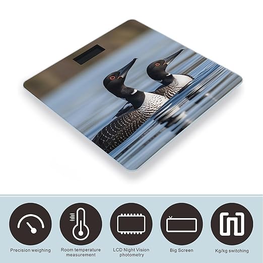 Loon Birds Smart Scale for Body Weight Accurate Bathroom Scale with LED Display Digital Weight Scales Weighing Machine High Precision Scales for Bath Home