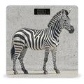 Zebra on The Wall Scale for Body Weight Accurate Digital Bathroom Scale Toughened Glass High Precision Scales Smart Weight Scales with Large LCD Backlight Display Weighing Machine