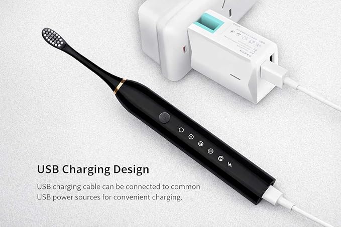 Electric Toothbrush for Adults Rechargeable Cordless Power Toothbrush with 6 Modes 4 Brush Heads 2-Min Timer Electric Tooth Brush Adult Black White Pink (Pink 1 Handle 4 Heads)