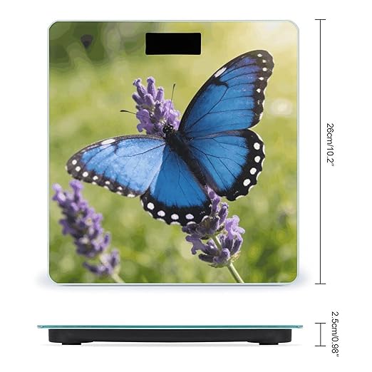 Butterfly Blue Smart Scale for Body Weight Digital Bathroom Scale Toughened Glass Weight Scale with Large LCD Backlight Display High Precision Scales Weighing Machine