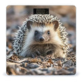 Hedgehog Scale for Body Weight Digital Bathroom Scale Toughened Glass High Precision Scales for Body Weight with Large LCD Backlight Display Weight Scales