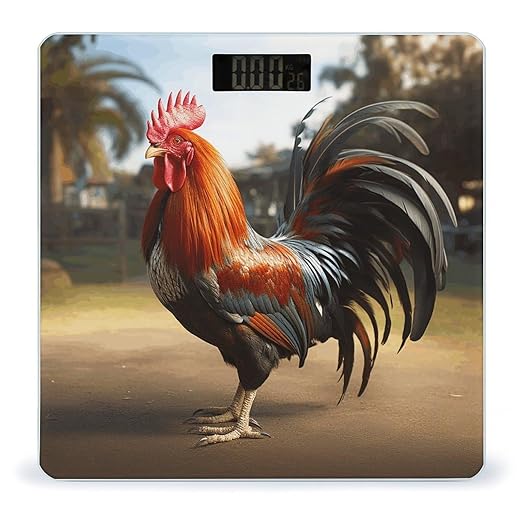 Proud Rooster Bathroom Scale Rounded Smart Scale for Body Weight Automatic Power On/Off Weight Scales Accurate Bathroom Digital Scales for Pet Home Bedroom Kitchen