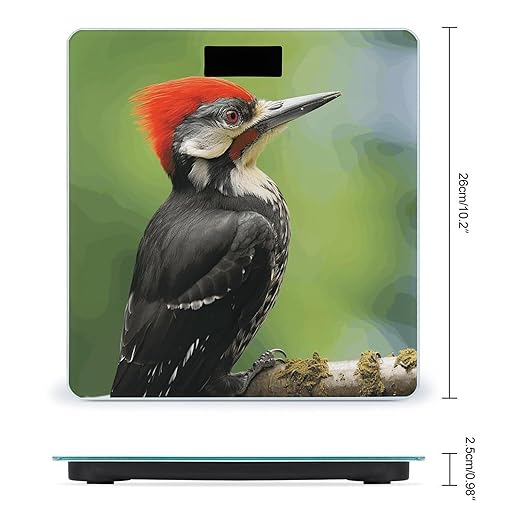Cute Pileated Woodpecker Scale for Body Weight Accurate Digital Bathroom Scale Toughened Glass High Precision Scales Smart Weight Scales with Large LCD Backlight Display Weighing Machine