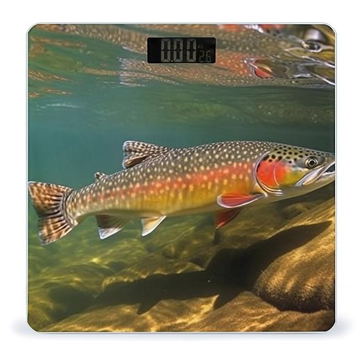 Brook Trout Fly Fishing Scale for Body Weight Sturdy Tempered Glass Weighing Scales with LCD Display Accurate Digital Bathroom Scale Convenient Body Fat Smart Scales Easy Read