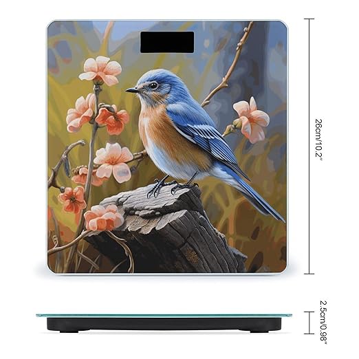 Eastern Bluebird Bathroom Scale Automatic Power On/Off Body Scales LCD Backlight Display Square Digital Scale Rounded Corners Bathroom Scales for Home Bedrooms