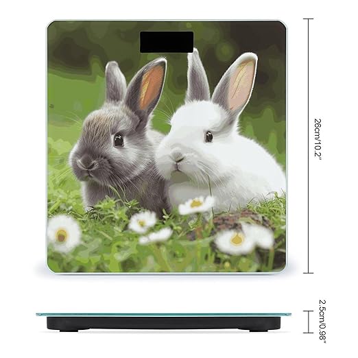 Two Little Cute Rabbits Bathroom ScaleHighly Accurate Digital Weighing Machine for People Bright LED Display Weight Scale for The Aldult Home Use