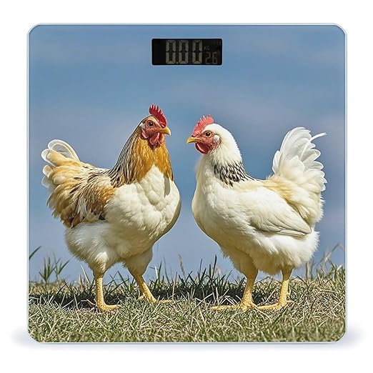 Animal Chickens Smart Scale for Body Weight Accurate Bathroom Scale with LED Display Digital Weight Scales Weighing Machine High Precision Scales for Bath Home