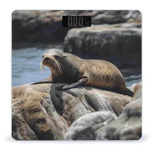 Brown Seal on The Rock Scale for Body Weight Digital Bathroom Scale Accurate Smart Weight Scales with Large Display Weighing Machine High Precision Scales