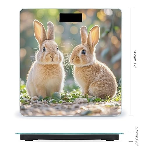 Two Little Cute Rabbits Bathroom Scale for Body Weight Bathroom Weighing Scales with Back Lit LED Display Sturdy Tempered Glass Body Weight Bathroom Scale 400lb Weighing