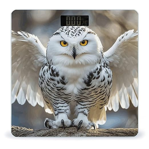 Snow Owl Scale for Body Weight Sturdy Tempered Glass Weighing Scales with LCD Display Accurate Digital Bathroom Scale Convenient Body Fat Smart Scales Easy Read