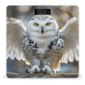 Snow Owl Scale for Body Weight Sturdy Tempered Glass Weighing Scales with LCD Display Accurate Digital Bathroom Scale Convenient Body Fat Smart Scales Easy Read
