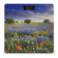 Texas Bluebonnets Scenery Weight Scale Large Bathroom Scales Digital Weight with Bright LED Display Non Slip Automatic Weighing Scale Fashion Weighing Machine for Body