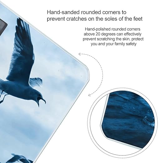 Flocks of Seagulls Follow The Wind. Weight ScaleClear LED Display Bathroom Digital Weighing ScaleTempered Glass Digital Bathroom Scale for Body Weight Capacity Up to 400 Lbs