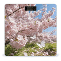 Butterflies Chase The Spring Light Smart Scale for Body Weight Digital Bathroom Scale Toughened Glass Weight Scale with Large LCD Backlight Display High Precision Scales Weighing Machine
