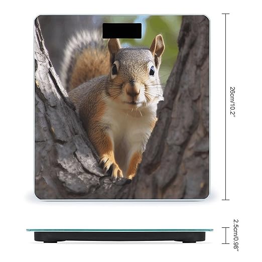 Squirrel in The Tree Bathroom Scale Rounded Smart Scale for Body Weight Automatic Power On/Off Weight Scales Accurate Bathroom Digital Scales for Pet Home Bedroom Kitchen
