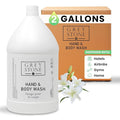 Grey Stone Body Wash | 2 Gallons | For Hotel &amp Vacation Rentals to Refill Shower Dispensers (256 fl oz)