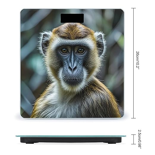 Digital Bathroom Scale for Body Weight Scale with Bright LCD Display High Accuracy Step-On Technology Auto On/Off The Silent Monkey Digital Scales 400 Lbs /180kg