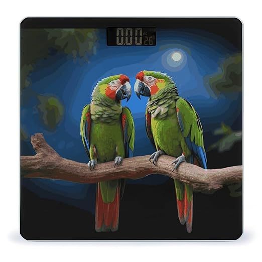 Parrots Weight Scale Digital Electronic Scales Bathroom Scale Larg LCD Backlight Display High Precisio MeasurementsTempered Glass