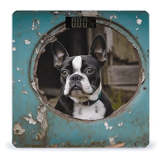 Boston Terrier Bathroom Scale Automatic Power On/Off Body Scales LCD Backlight Display Square Digital Scale Rounded Corners Bathroom Scales for Home Bedrooms