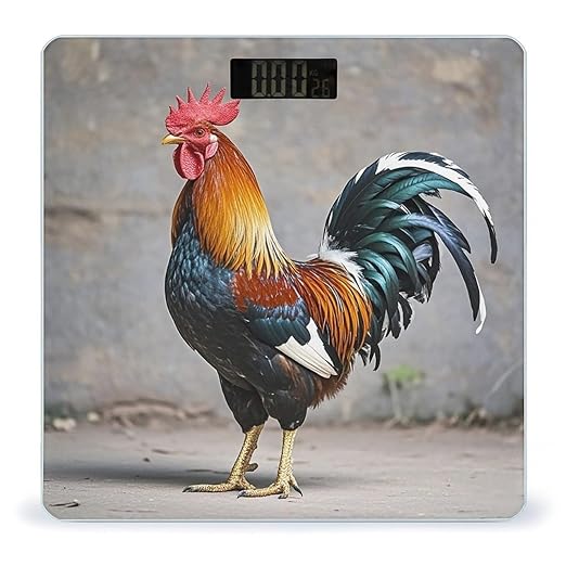 Rooster Bathroom Scale for Body Weight with High Precision Large LCD Backlight Display Digital Weighing Scale with BMI Capacity Up to 180kg