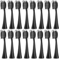 16PCS Replacement Toothbrush HeadsCompatible for Seago SG-540Cleaning Deep Tooth Gaps Suitable(16BLACK)