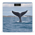 Whale Tail Bathroom Scale Large LCD Backlight Display Digital Scale Rounded Corners Body Scales Automatic Power On/Off Bathroom Scales for Home Bedrooms