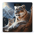 Mountain Lions Scale for Body Weight Digital Bathroom Scale Accurate Smart Weight Scales with Large Display Weighing Machine High Precision Scales