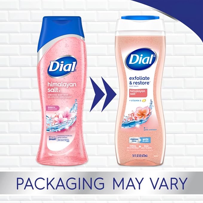 Dial Enriching Body Wash Himalayan Salt 16 oz (Pack of 4)
