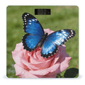 Blue Butterfly Smart Scale for Body Weight Digital Bathroom Scale Toughened Glass Weight Scale with Large LCD Backlight Display High Precision Scales Weighing Machine