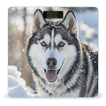 Dog in The Snow Digital Bathroom Scale for Body Weight Weighing Scale with Backlit LCD Display High Precision Measurements &amp Measures Weight Up to 180kg