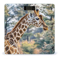 Giraffe High Neck Spot Scale for Body Weight Highly Accurate Digital Bathroom Body Scale Digital Bathroom Scales for People Anti-Slip Large LCD Display Smart Scales