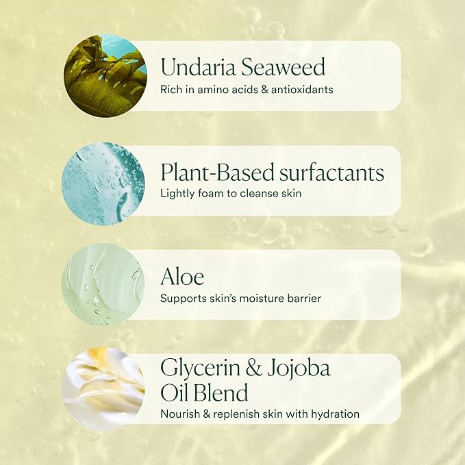 OSEA Undaria Algae™ Body Wash - pH Balanced - Hydrating &amp Moisturizing Citrus Scented Cleanser - Clean Vegan Non-Toxic Skincare - 8oz