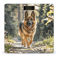 Running German Shepherd Dog Scale for Body Weight Sturdy Tempered Glass Weighing Scales with LCD Display Accurate Digital Bathroom Scale Convenient Body Fat Smart Scales Easy Read