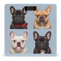 French Bulldog Scale for Body Weight Accurate Digital Bathroom Scale Toughened Glass High Precision Scales Smart Weight Scales with Large LCD Backlight Display Weighing Machine