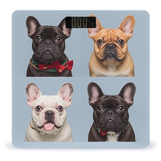 French Bulldog Scale for Body Weight Accurate Digital Bathroom Scale Toughened Glass High Precision Scales Smart Weight Scales with Large LCD Backlight Display Weighing Machine